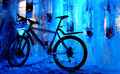 hoved_300x184