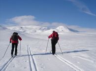Børgefjell