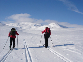 Børgefjell