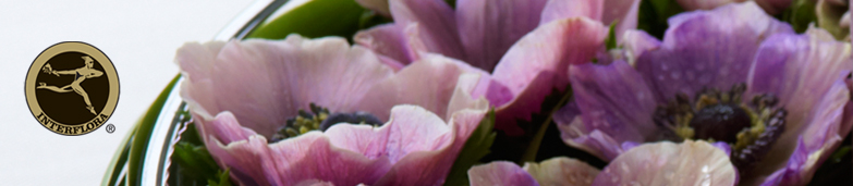 Blomster