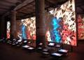 biennale_300x214