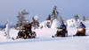 elamys kelkkasafari 2  [ 1]  