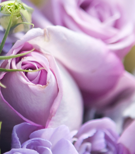 Interflora