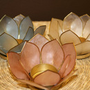 sostrene&nbsp;grene&nbsp;foto&nbsp;Tone&nbsp;Aleksandersen&nbsp;(1)