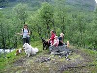 Tverrdalen