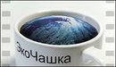 eco-cup