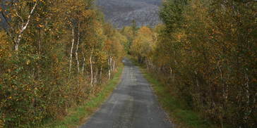 H&oslash;st i Leirfjord