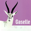 gaselle ingress