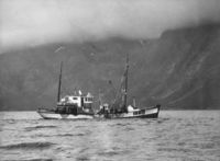Rastebykaia Einar Helland Rastebykaia Einar Helland