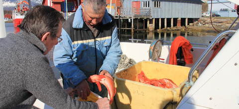 Fiskehandel p&aring; Inndyr