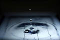 Water fox_kiyo flickr_300x200