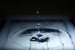 Water fox_kiyo flickr_300x200