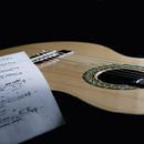 ingress gitarskole