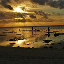 reise lisiting