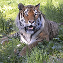 zoo lisiting