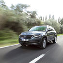 ingress MollerBilSkoda