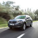 ingress Moller Bil Skoda