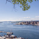 ingress sommer i Oslo