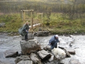 elvevoll1