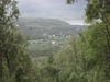 Hattelia3