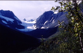 Steindalsbreen  