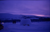 Treriksrøysa  