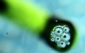 bubles_300x188