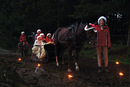 Juleslede