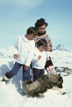 Eskimo (Inuit) family, mother and sons in national dress. Ammassalik/Tasiilaq, East Greenland. Her yoke is made from imported beads She wears foxskin shorts and sealskin boots Husky dog in foreground