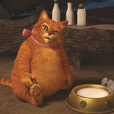 In the alternate reality of ?Shrek Forever After,? the once lean and trim Puss-in-Boots (ANTONIO BANDERAS) has traded in his cape and hat (and boots!) for a pink bow and life as a domesticated cat.