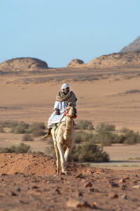 Egypt:Destination RMF:Tema - Nile to Nubia - with cruis on Lake Nasser_1397