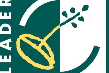 Logo_Leader