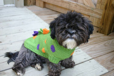 Sweater Day - Flickr - Unertlkm_300x200