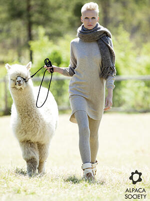 Alpaca enkeltbilde