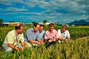 Sustainable Events - IRRI Images - Flickr_300x200