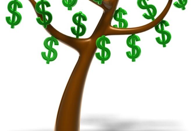 penger som vokser på et tre