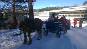 Kanefart er populært under Barnas vinterdager på Maihaugen Eirik Haagensen ©Lillehammer kommune Kanefart på Maihaugen
