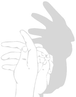 Indianerlogo1