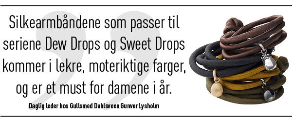 Gullsmed Dahlsveen header