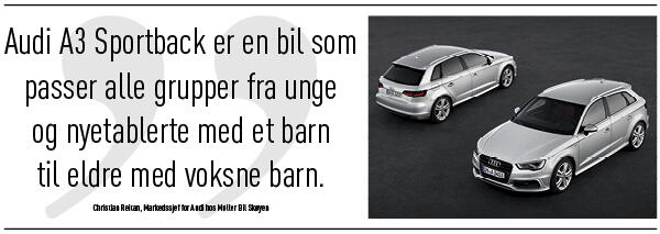 Moller Bil Skoyen header2