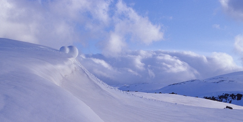 Snowball bilde