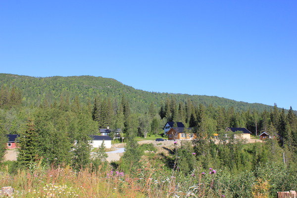 Leiren boligfelt