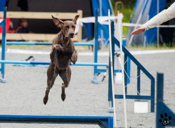 Agility_600x438