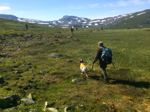 Raggsteindalen_600x450