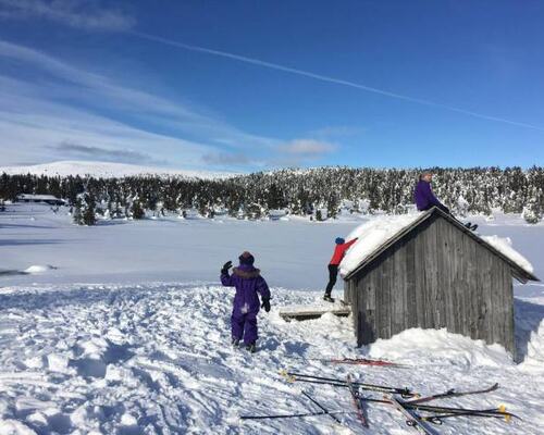 Vinterlek ved Nevelvann