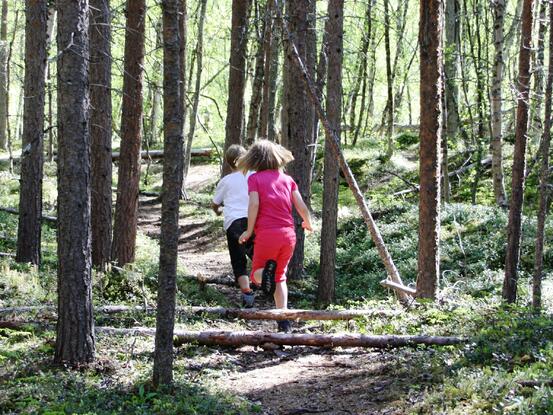 Barn som løper i skogen