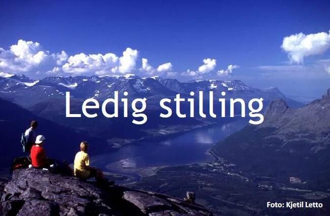 ledig stilling