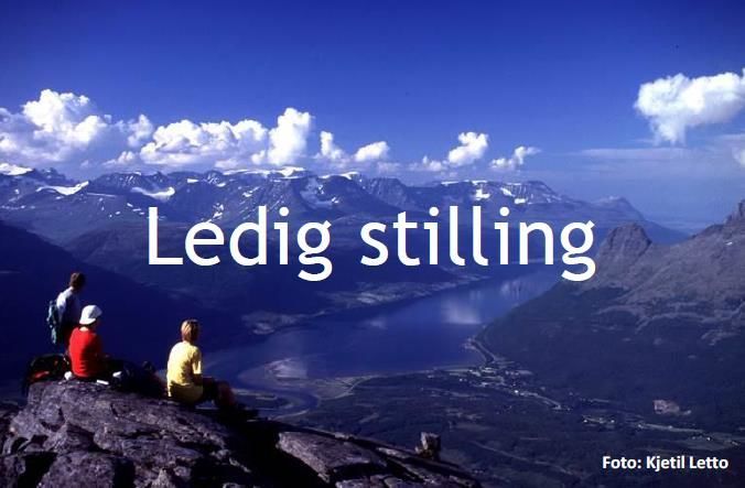 Ledig stilling