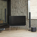 ingress TV