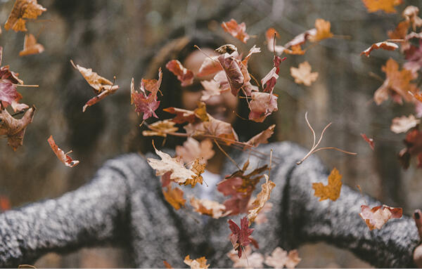 header fotosafari